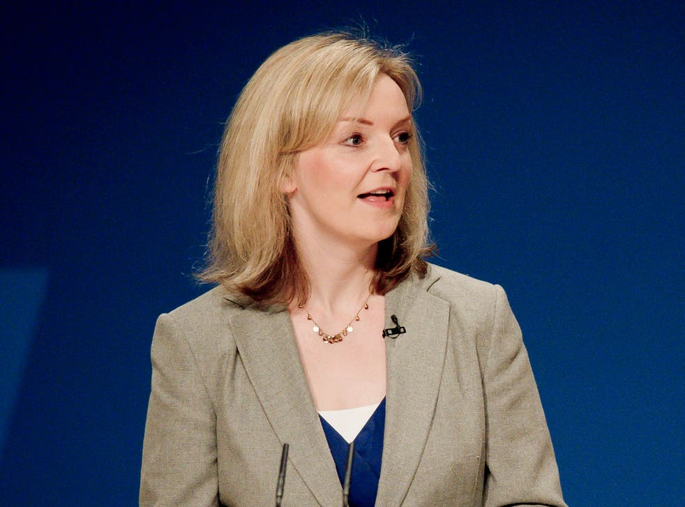 The Environment Secretary Liz Truss wants to see crops, not solar panels, in British fields