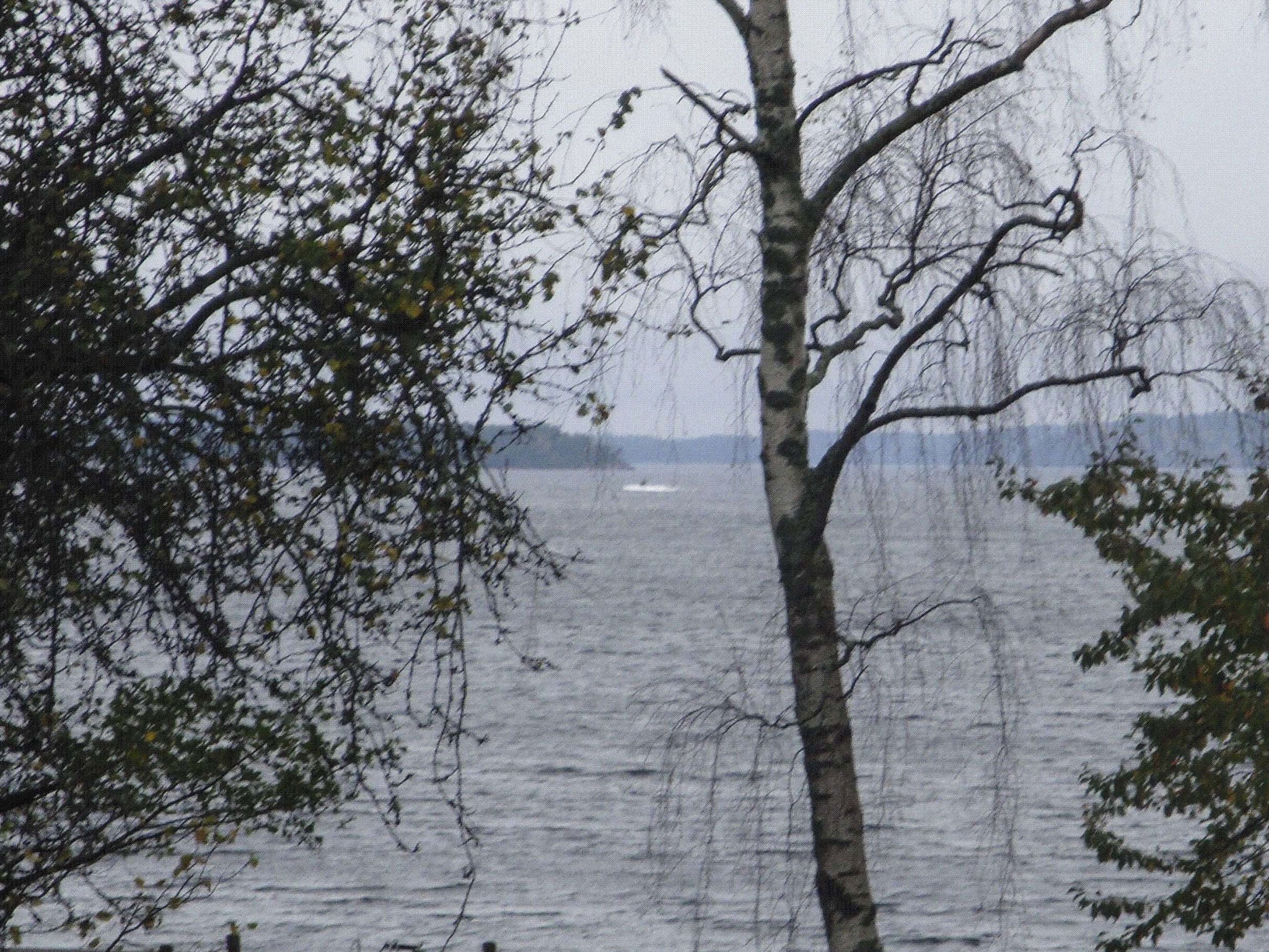 This amateur photo released by the Swedish military shows a 'man-made object' in the water that sparked an unconfirmed hunt for a possibly damaged Russian submarine