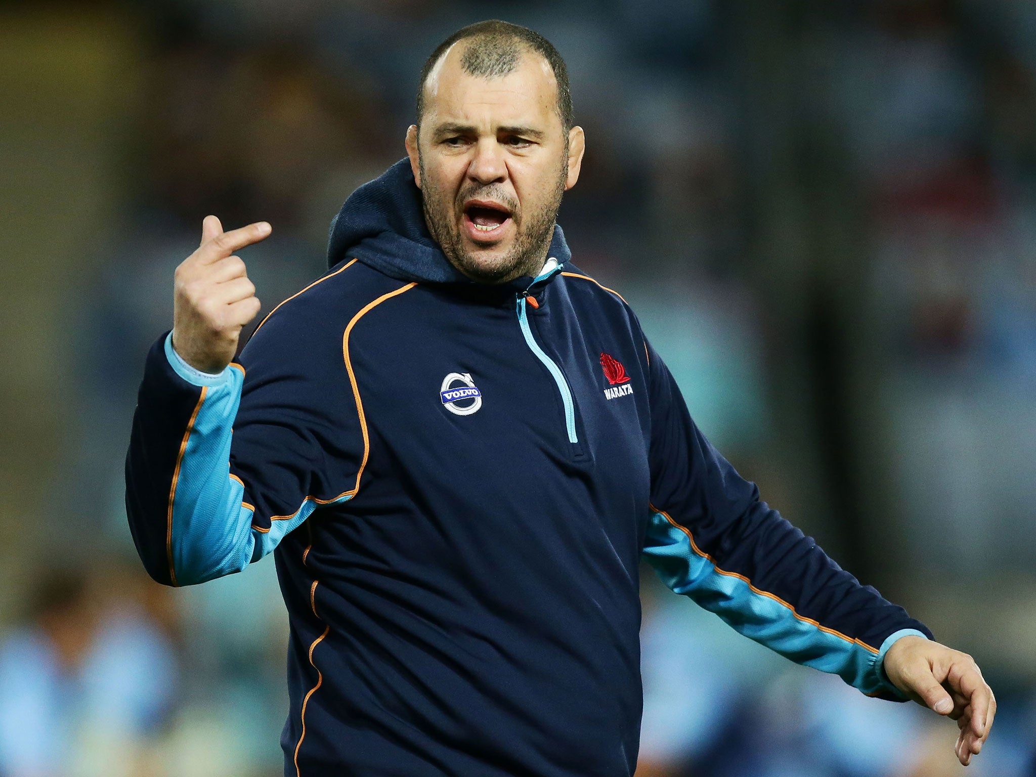 Michael Cheika is tipped to become the new Australia coach