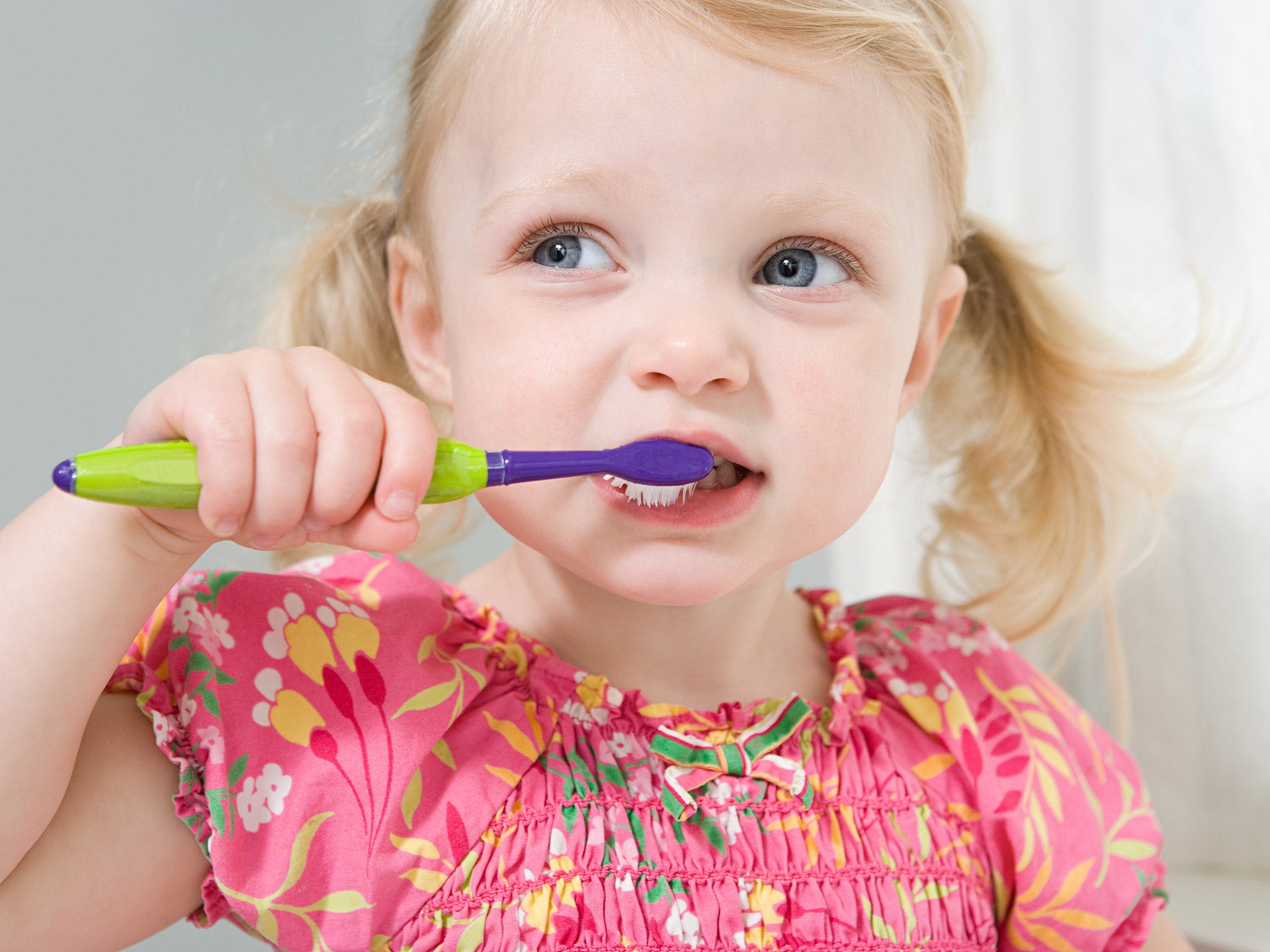 Teeth should be brushed twice a day to prevent tooth decay