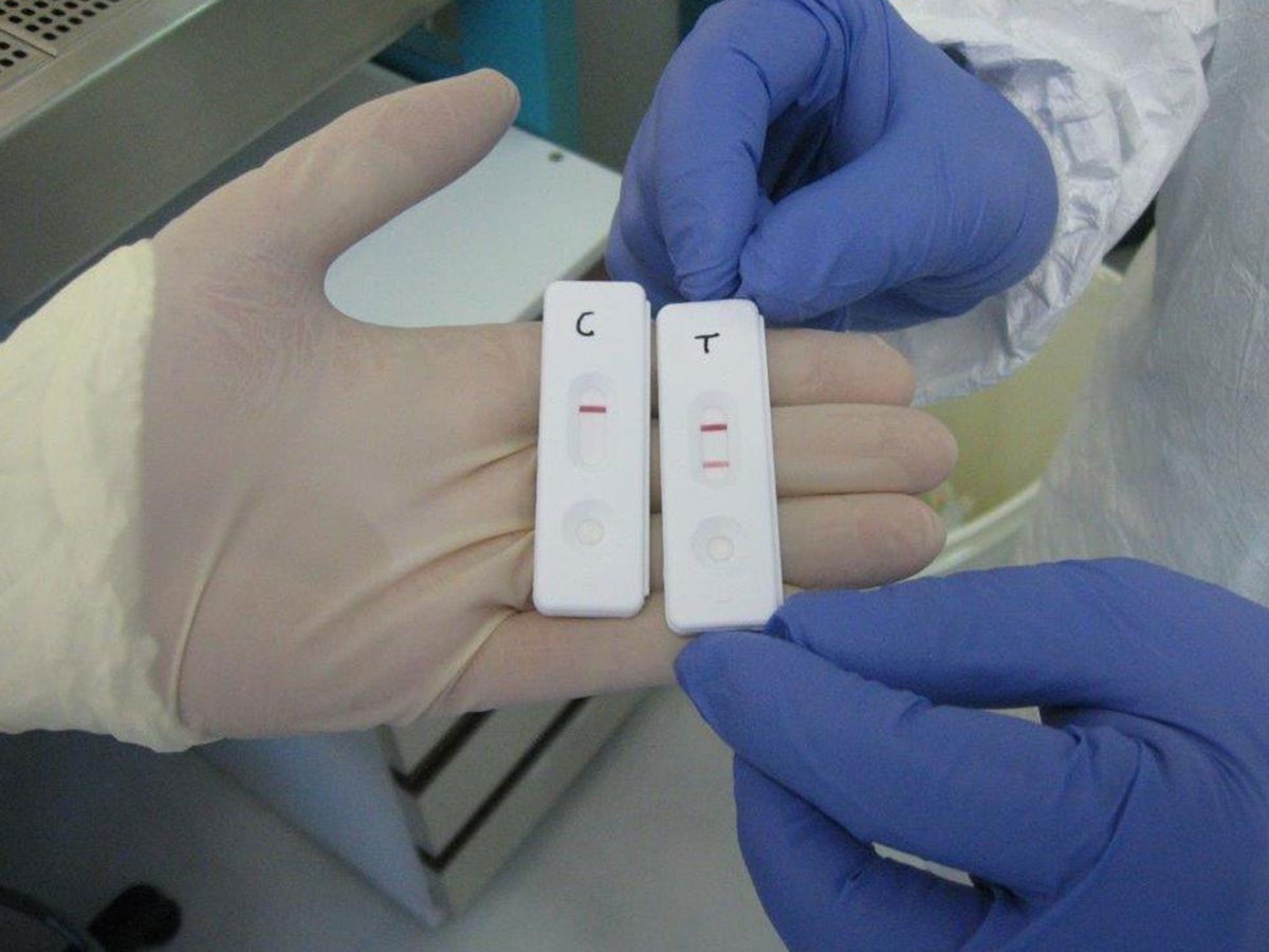 Ebola crisis: New 15-minute test kits could soon be sent to West Africa |  The Independent | The Independent