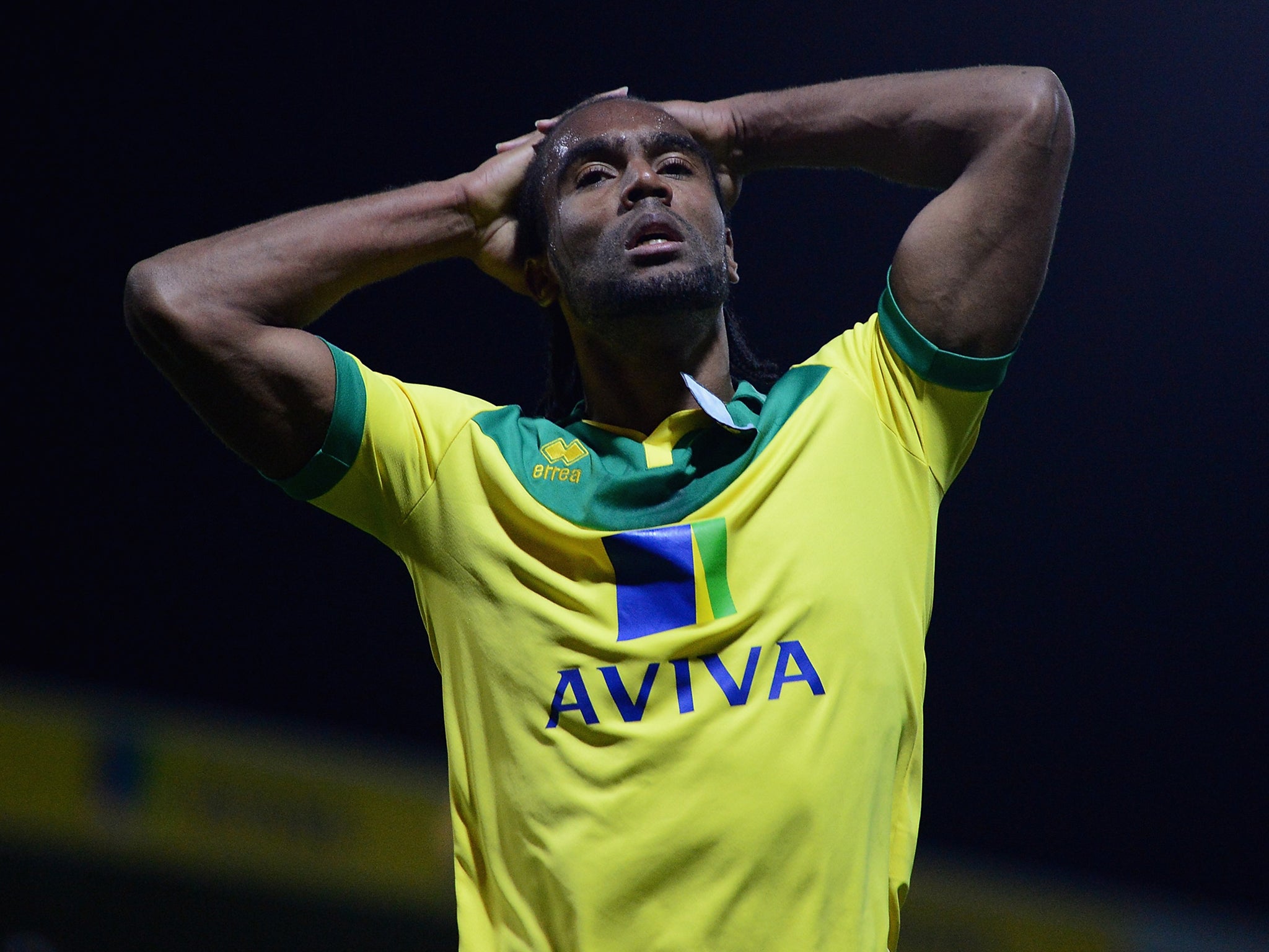 Norwich striker Cameron Jerome in action against Leeds