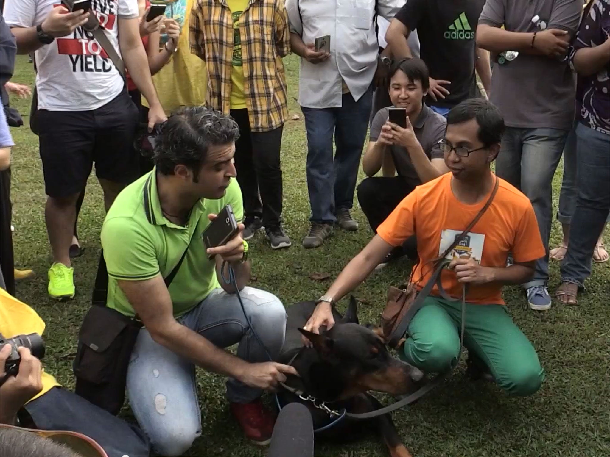 malaysian-dog-petting-event-upsets-muslim-clerics-the-independent