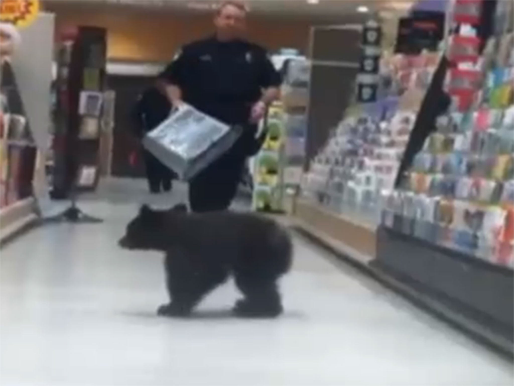 The bear was eventually court by a policeman with a shopping basket
