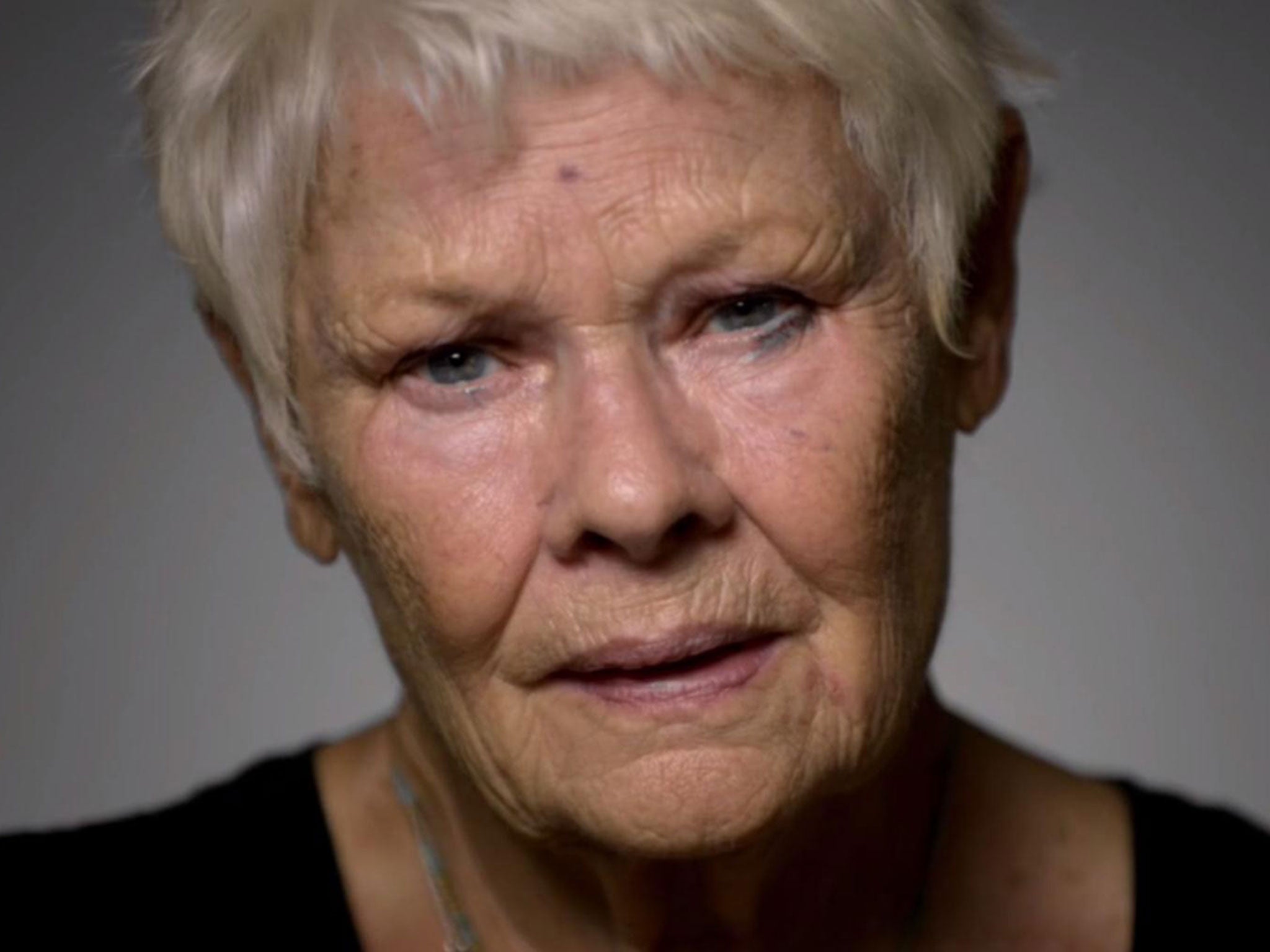 Dame Judi Dench joined the Soi Dog Foundation campaign
