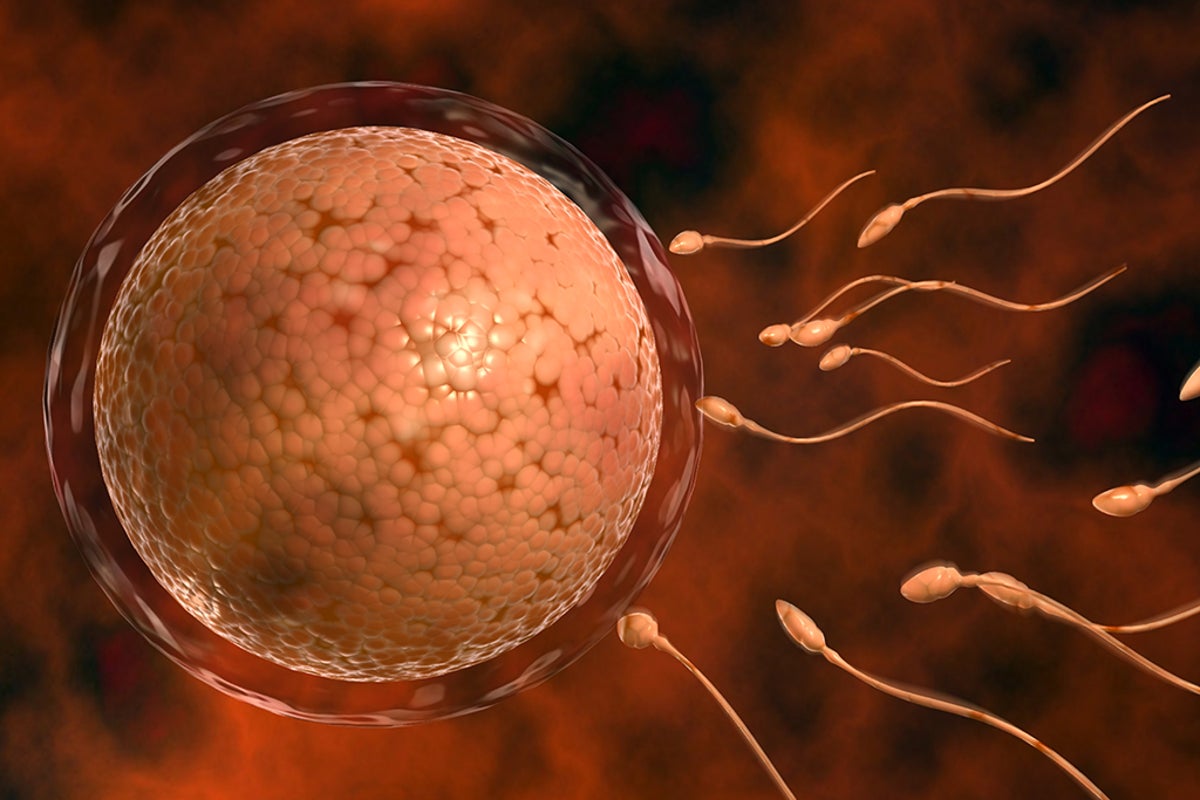 National Fertility Awareness Week: the truth about the female ...
