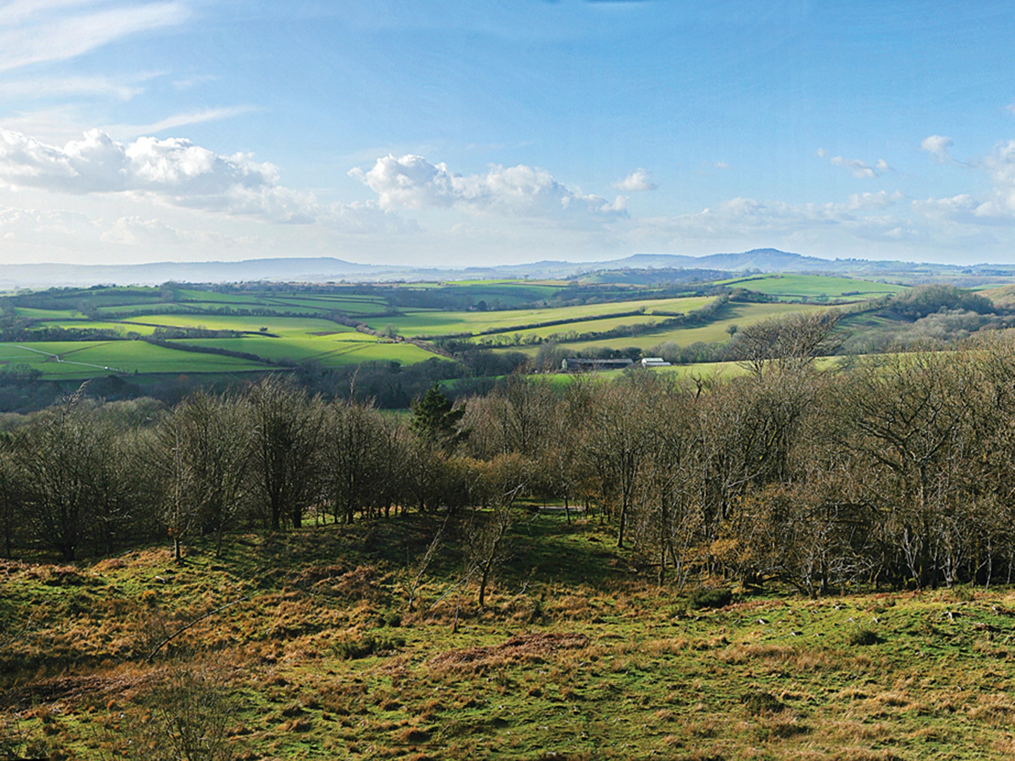 View From Powerstock Nature Reserve, Dorset. (© Tony Bates/Press image from Jessica Thornton)