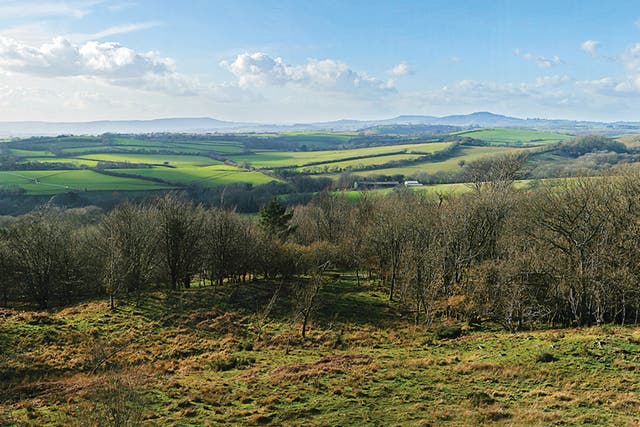View From Powerstock Nature Reserve, Dorset. (© Tony Bates/Press image from 
Jessica Thornton)