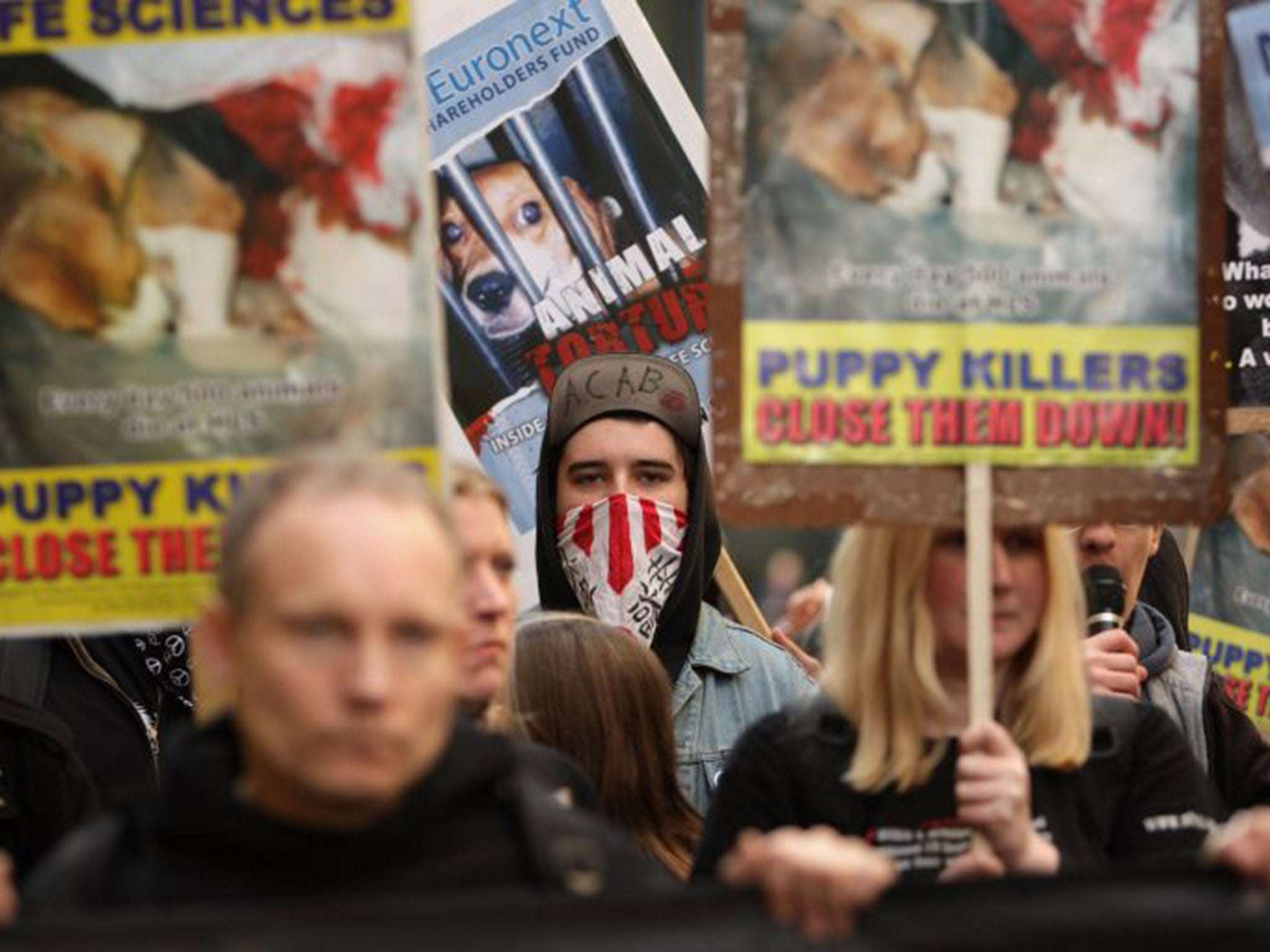 Anti-vivisection campaigners are now offering cash rewards for personal information about university students working on animal testing projects