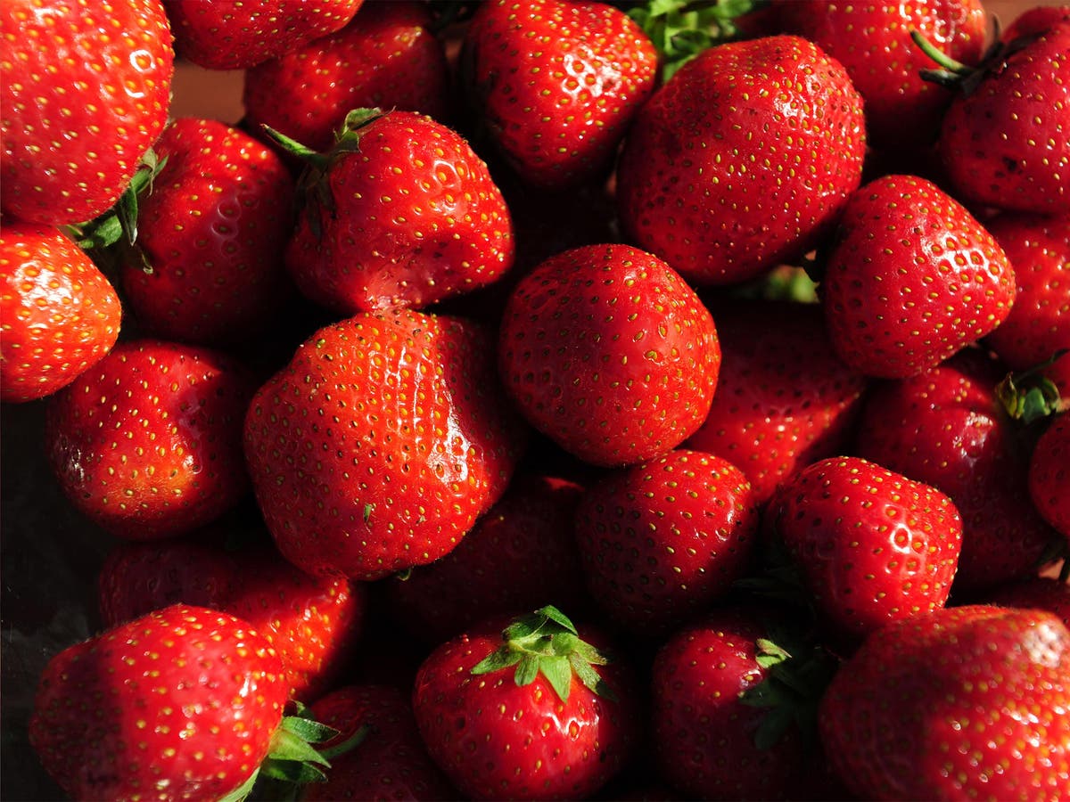 Record Breaking Strawberry Season To Last Until December The Independent The Independent