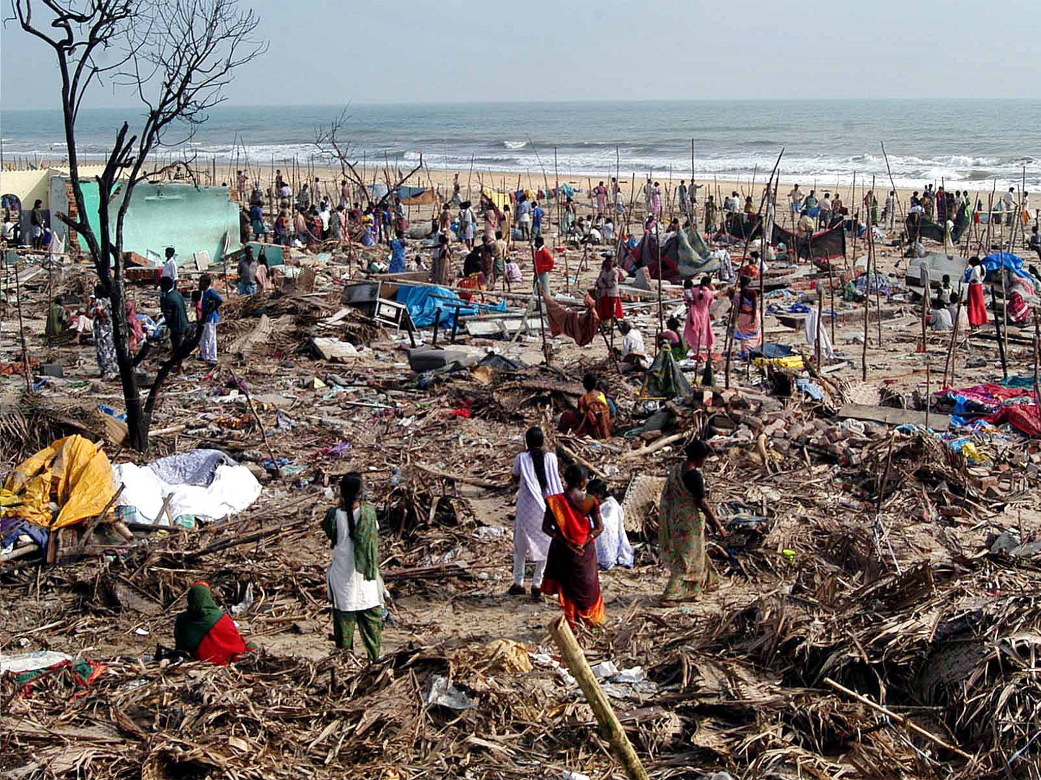 Indian Ocean Tsunami How The Natural Disaster Sparked A Huge Fertility   Web Appeal 1 Ap 