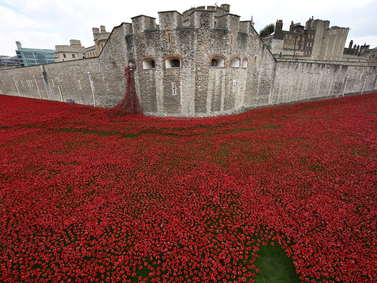 Tower of London poppies Online campaign set up to keep installation