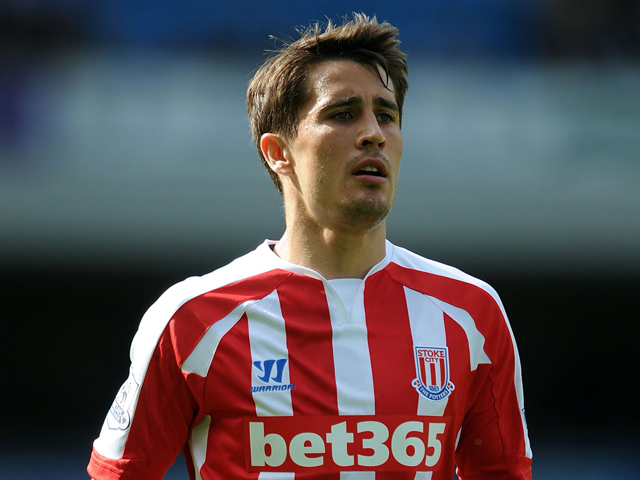 Marj Hughes says Bojan Krikic does feature in his plans at Stoke