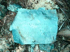 Amelia Earhart: Researchers claim metal 'patch' found on Pacific