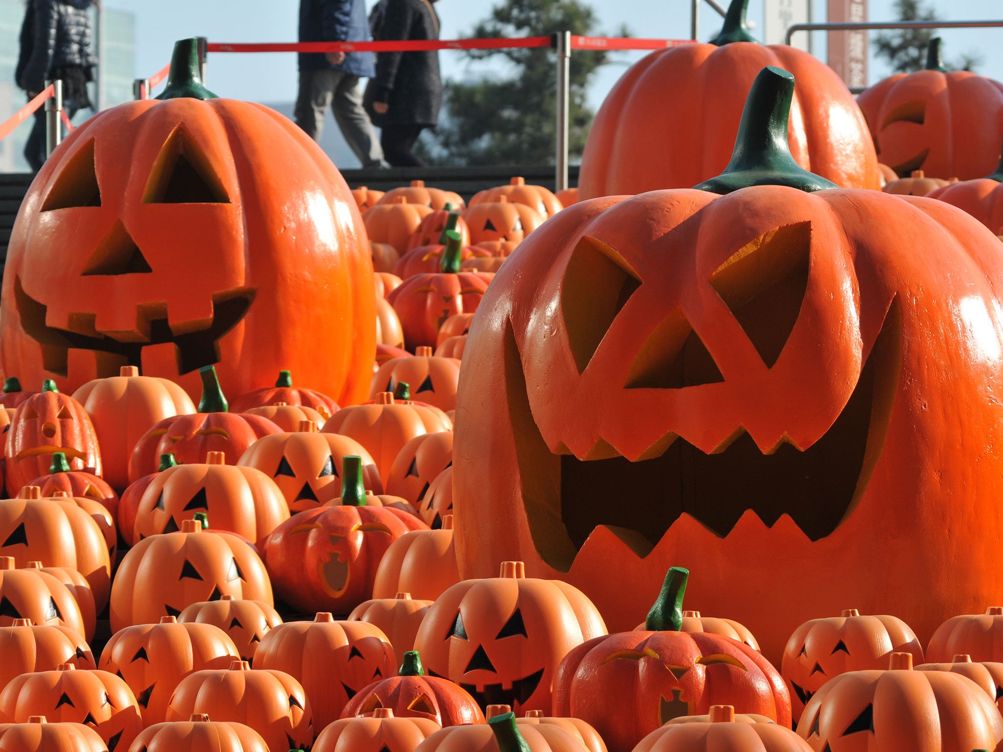 Pumpkin Carving  SBI: A Thinning Crowd