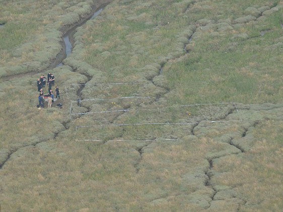 Police and forensic expert examine the scene where the bones were found in Essex