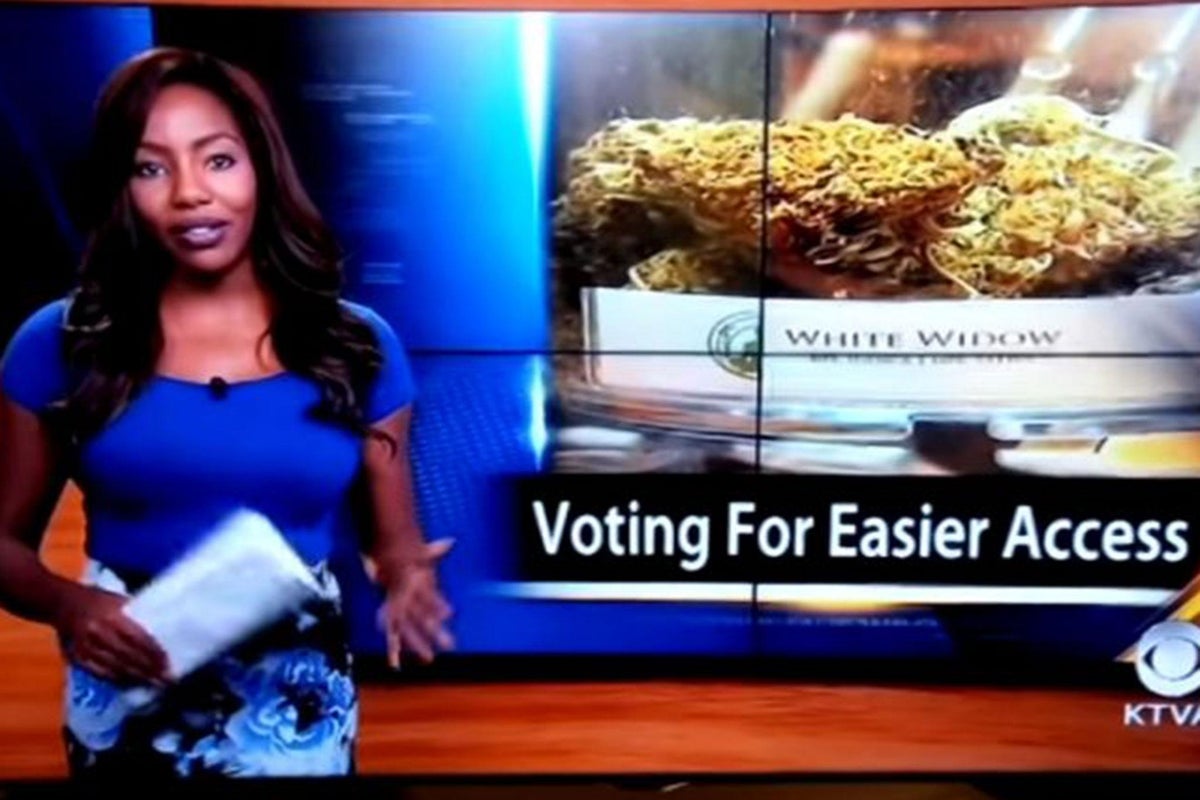 Meet the US news reporter who quit her job live on air... to campaign ...