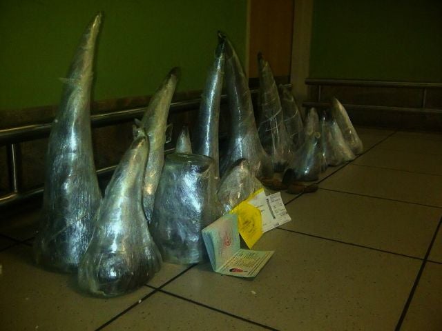 41kg of rhino-horn was confiscated in South Africa as two men were arrested