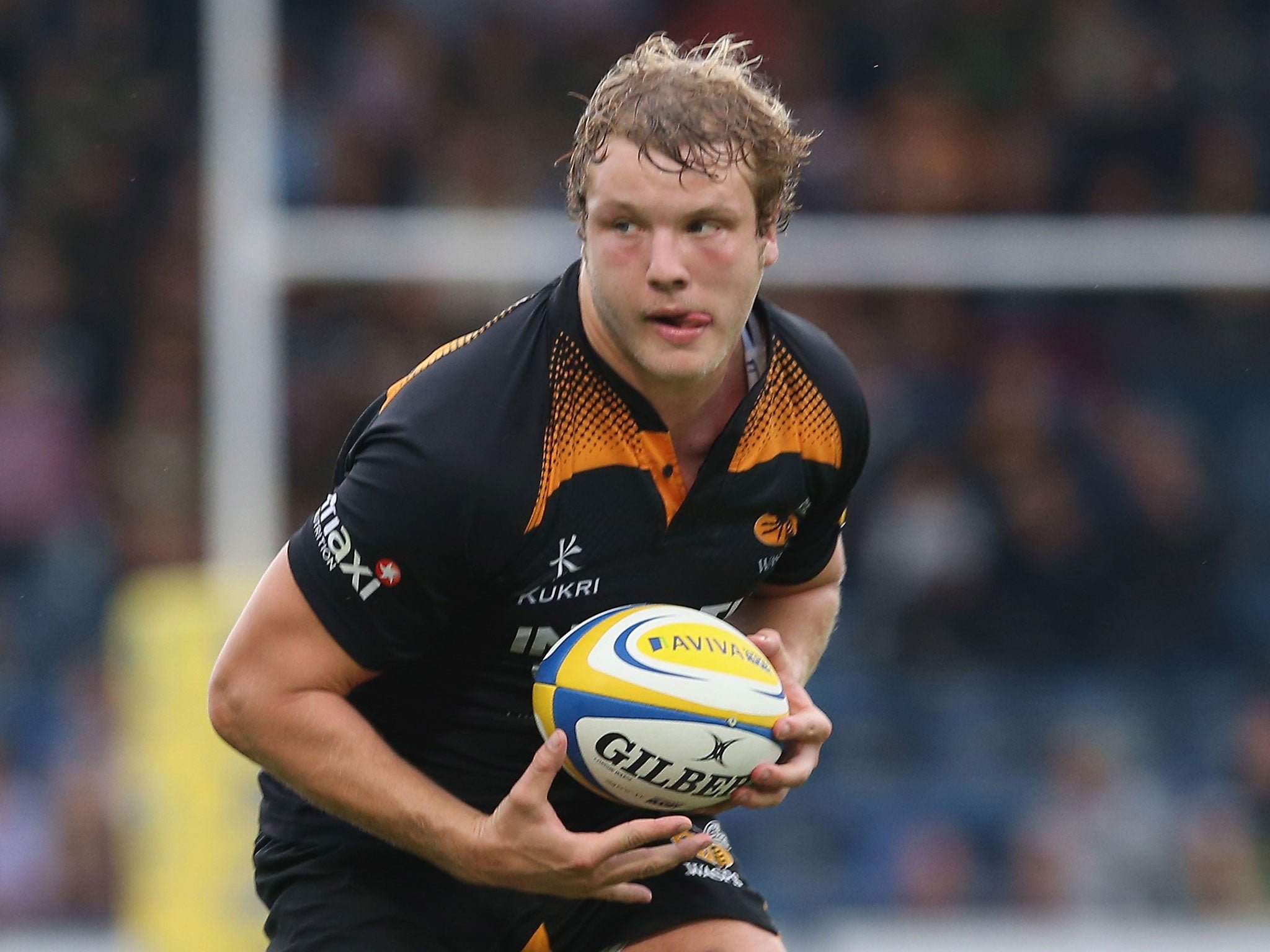 Joe Launchbury has been ruled out of the entire autumn Test series with a neck injury