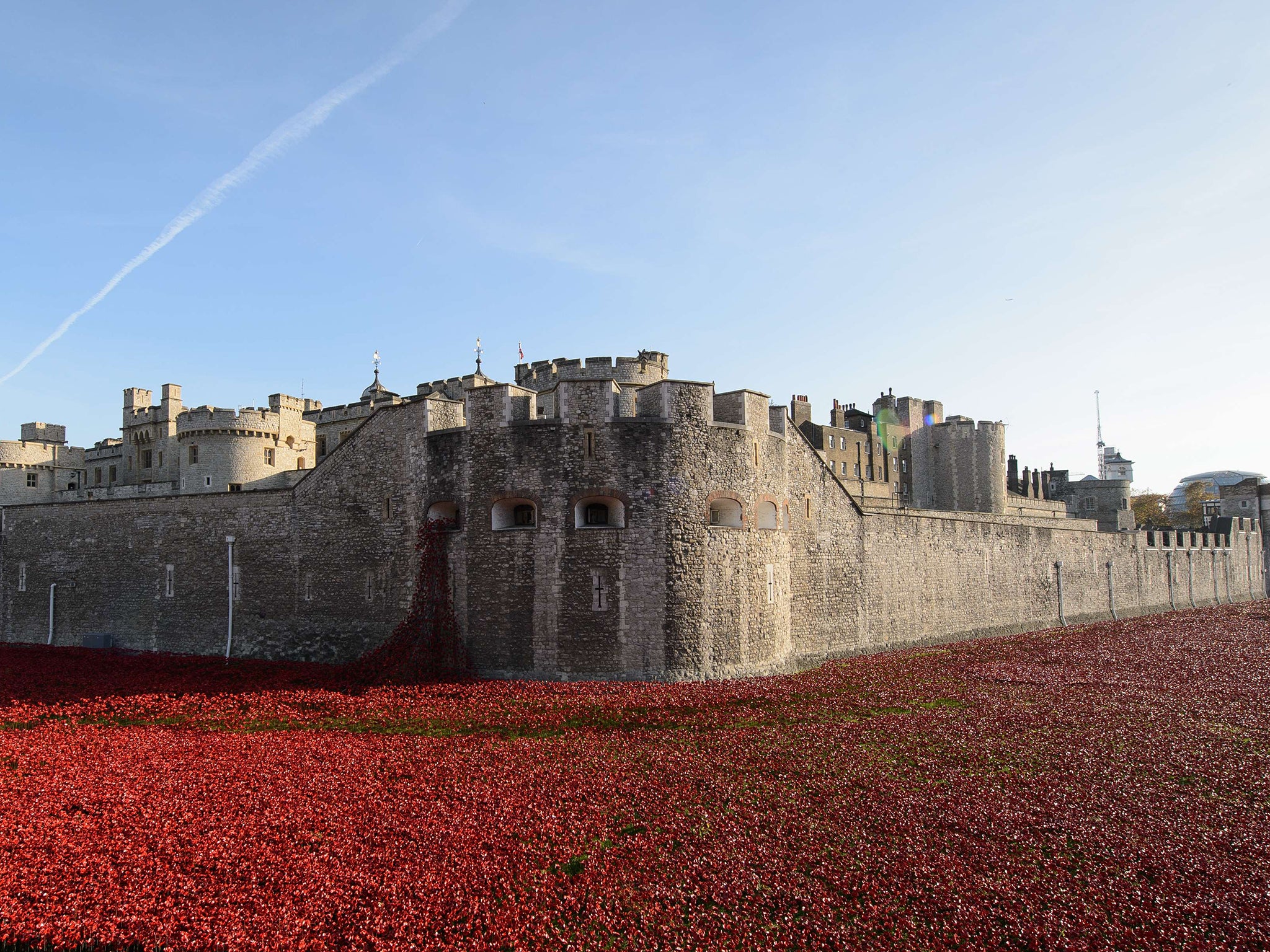 A general view shows the "Blood Swept Lands and Seas of Red" installation by ceramic artist Paul Cummins and theatre stage designer Tom Piper, marking the centenary of the outbreak of the First World War, in the moat area of the Tower of London in central