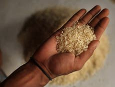 High levels of arsenic in rice: why isn't it regulated in our food?