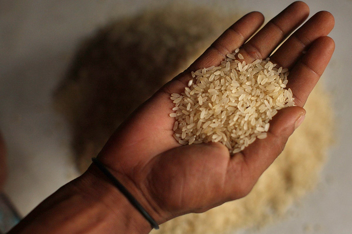 High levels of arsenic in rice: why isn't it regulated in our food ...