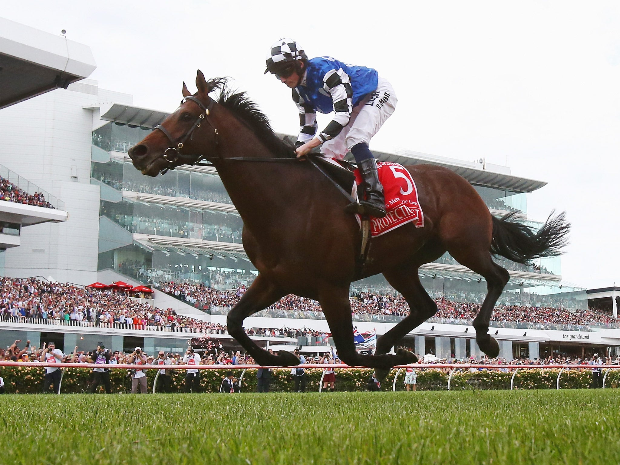 Protectionist wins the Melbourne Cup, the first German horse to triumph in one of the world’s most prestigious races