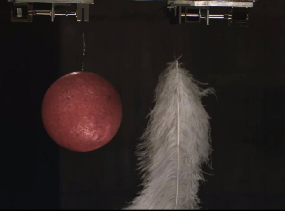 Brian Cox shows us how a bowling ball and feather can fall at the same rate The Independent