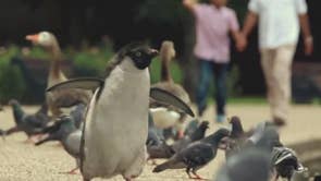 John Lewis Christmas Advert 2014 It S Sickly And Sweet But Surprisingly Potent The Independent The Independent