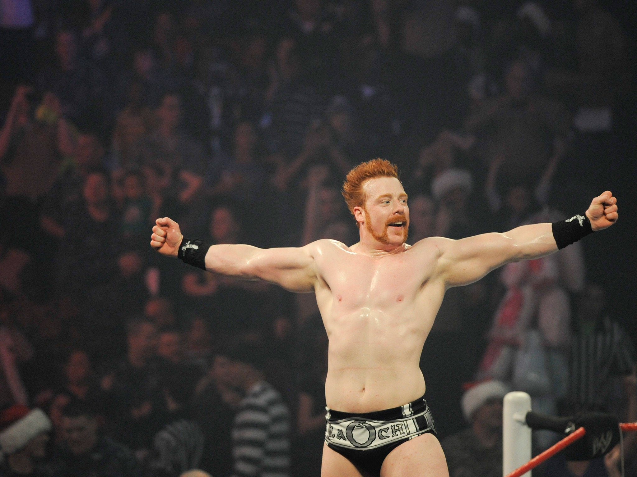 Superstar Sheamus performs during the 10th anniversary of WWE Tribute to the Troops