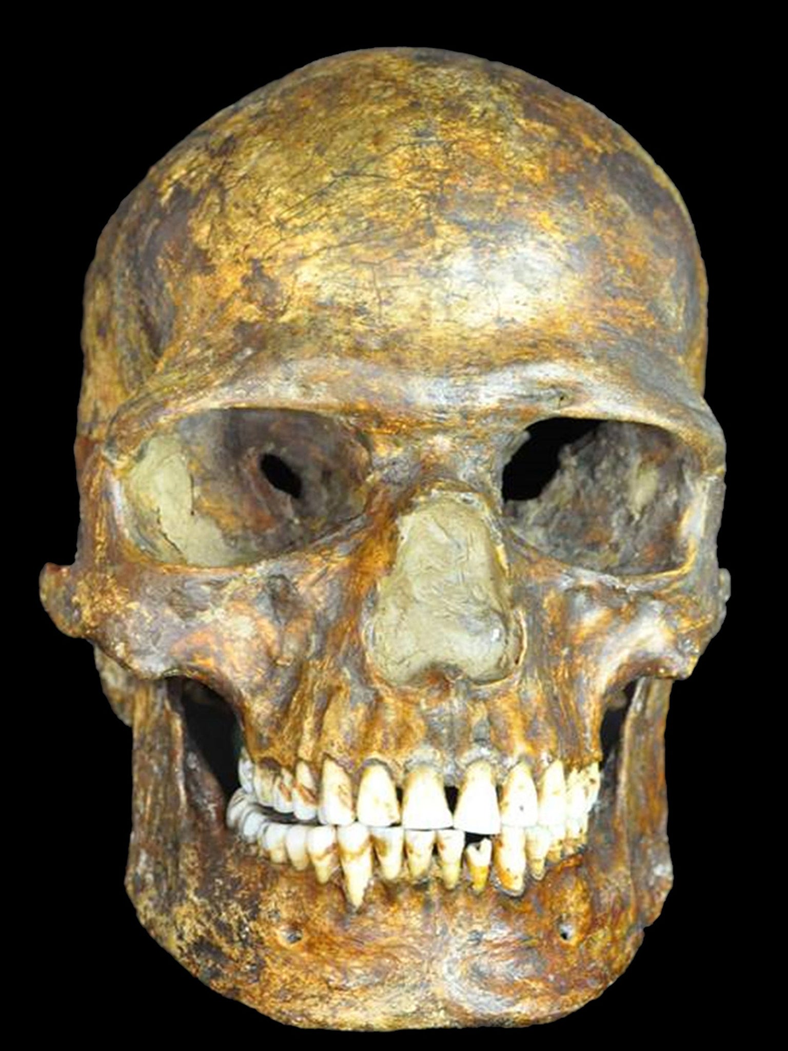 The DNA from a 36,000-year-old skull has similarities to modern-day Europeans