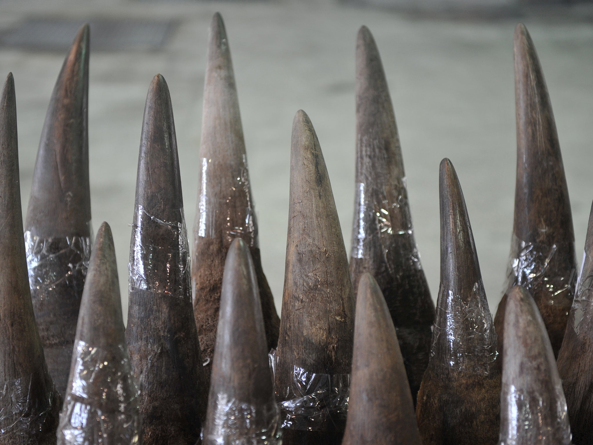 The thieves stole rhino horns and millions of pounds worth of precious artifacts