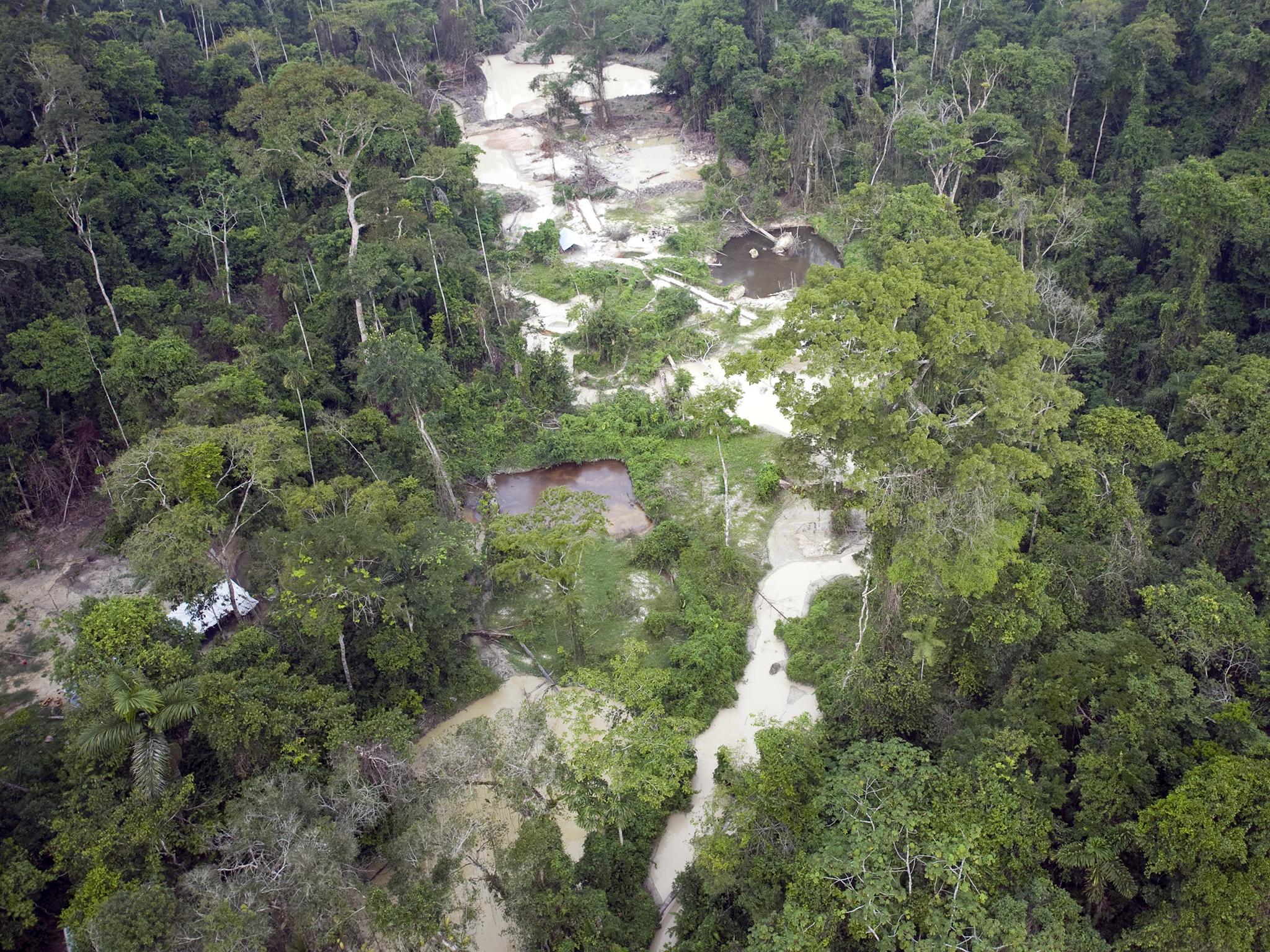 Aerial view af an area devastated by clandestine gold mining in the Jamanxim National Forest, Brazil