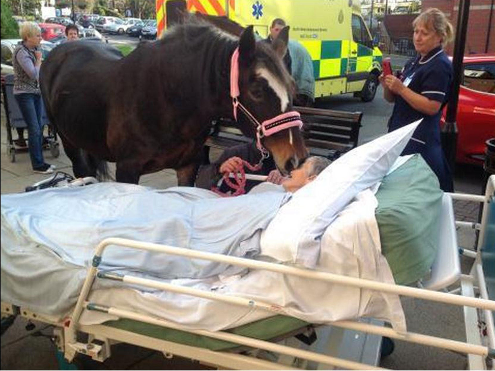 A photo of Sheila Marsh saying goodbye to her horse was released by the hospital trust