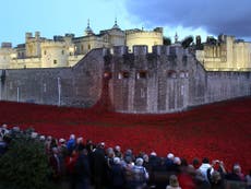 Poppy display at Tower of London to be extended