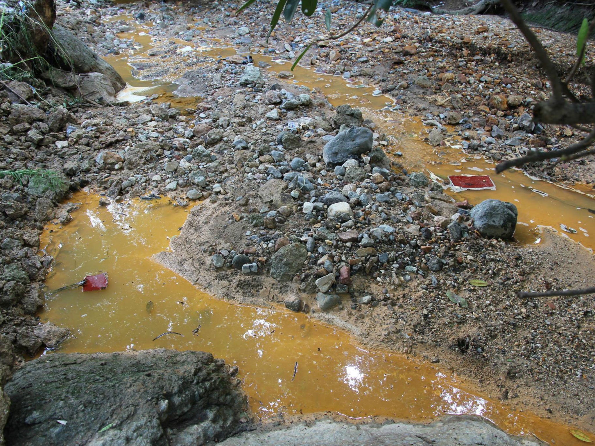 Contaminated water (Picture by Nestor Polanco)