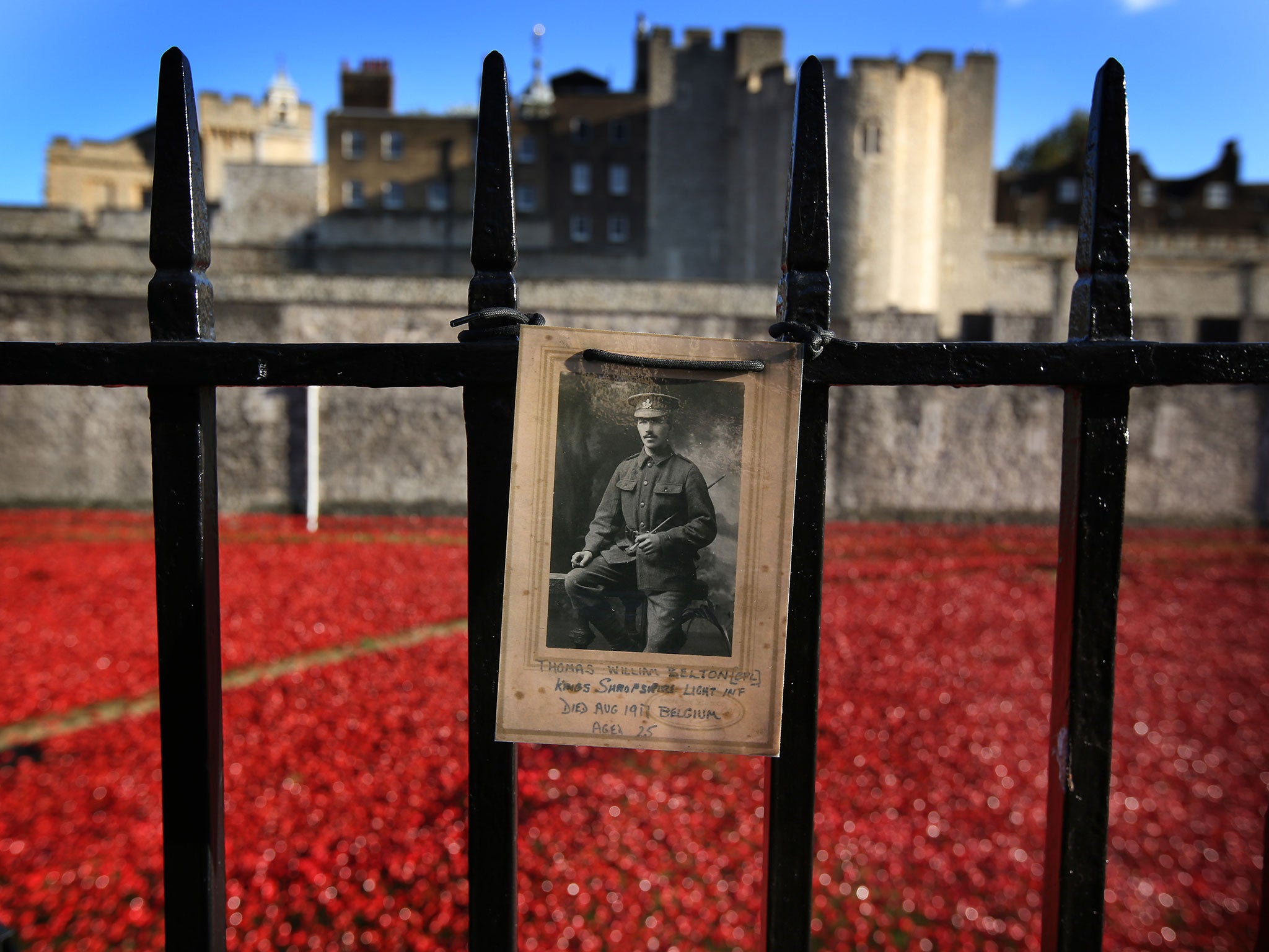 A photograph of Cpl Thomas William Belton of the Kings Shropshire Light Infantry at the gates of the Tower of London poppy installation