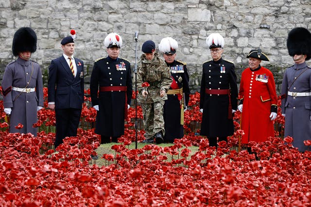 Cadet Harry Alexander Hayes plants the last poppy during a remembrance day ceremony into the ceramic poppy art installation by artist Paul Cummins entitled 'Blood Swept Lands and Seas of Red' in the dry moat of the Tower of London 
