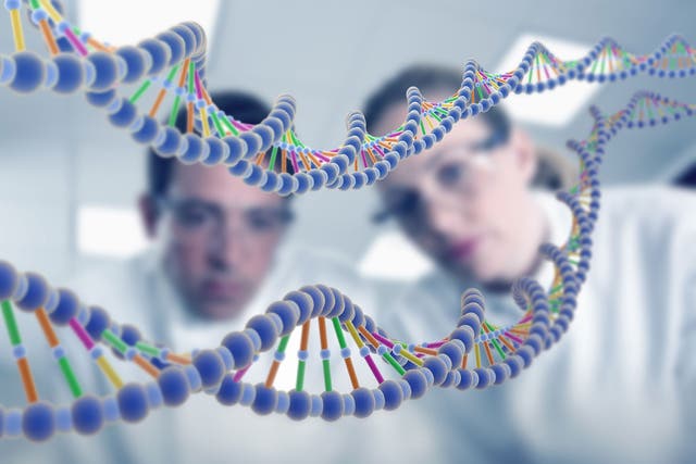 In humans, the ability to regulate the expression of genes through thoughts alone could open up an entirely new avenue for medicine.