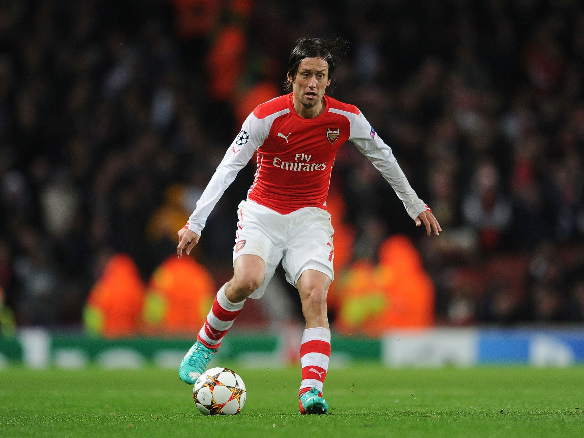 Arsenal midfielder Tomas Rosicky