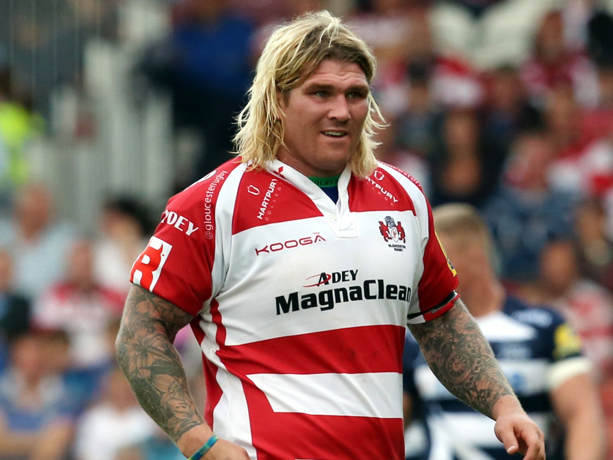 Hibbard has been named on the bench for Gloucester's Premiership tie with Harlequins