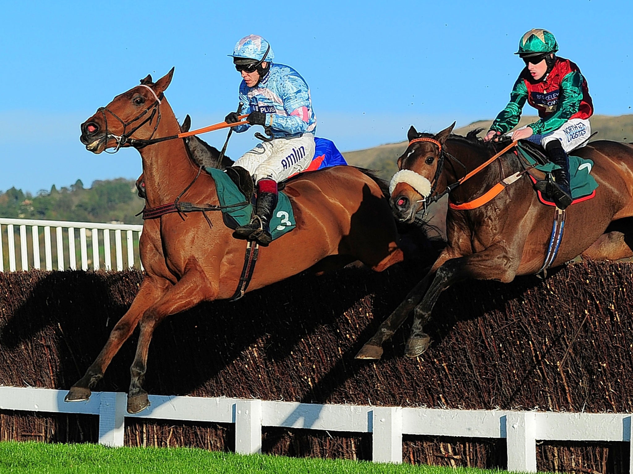 Champagne West (left) clears one of the reduced number of obstacles in Cheltenham’s novice chase
