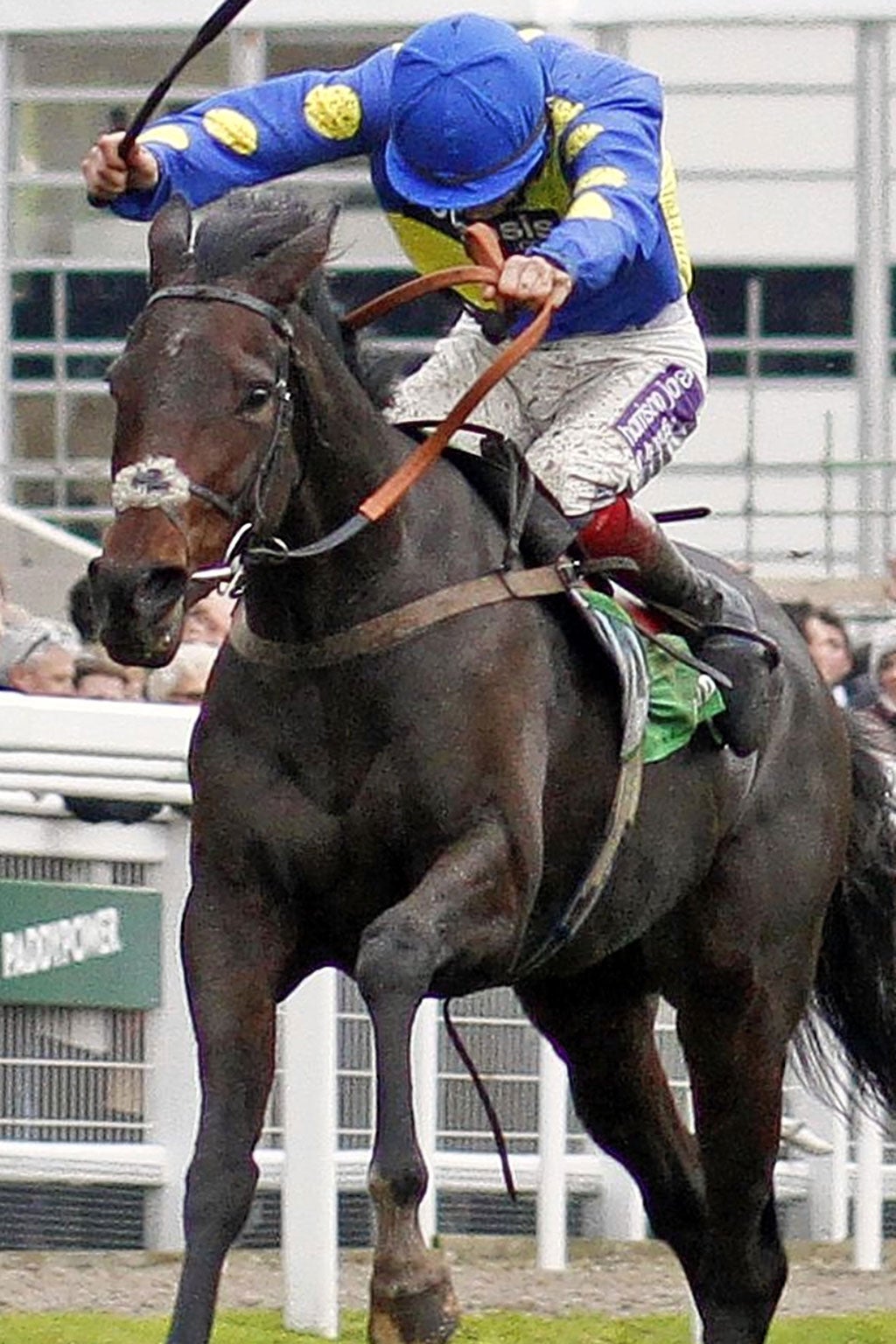 Jockey Sam Twiston- Davies powers Caid Du Berlais to a Gold Cup triumph