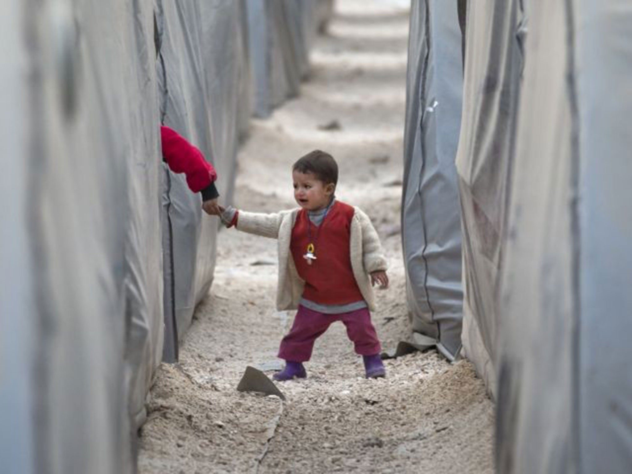 A displaced Kurdish child at Suruc, on the Turkish-Syrian border