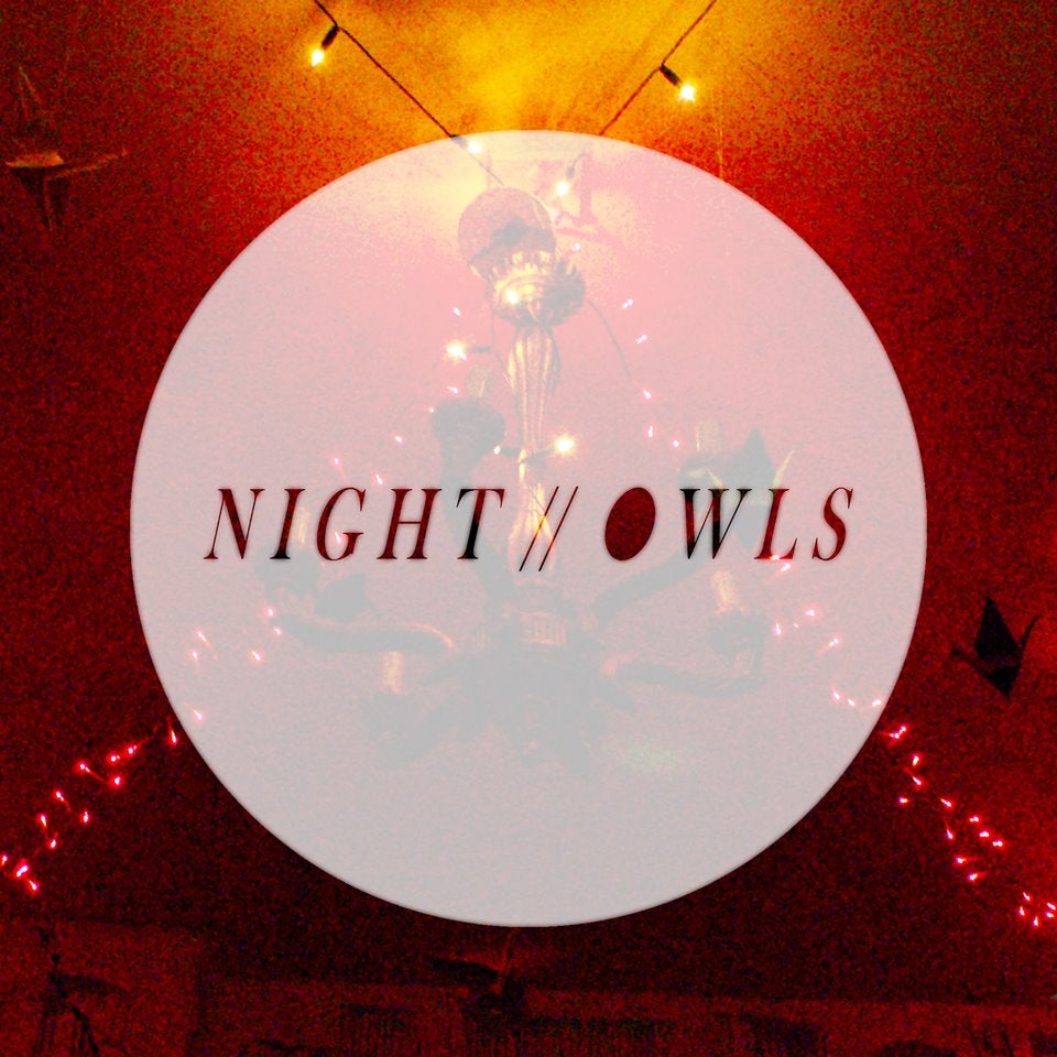 Night // Owls