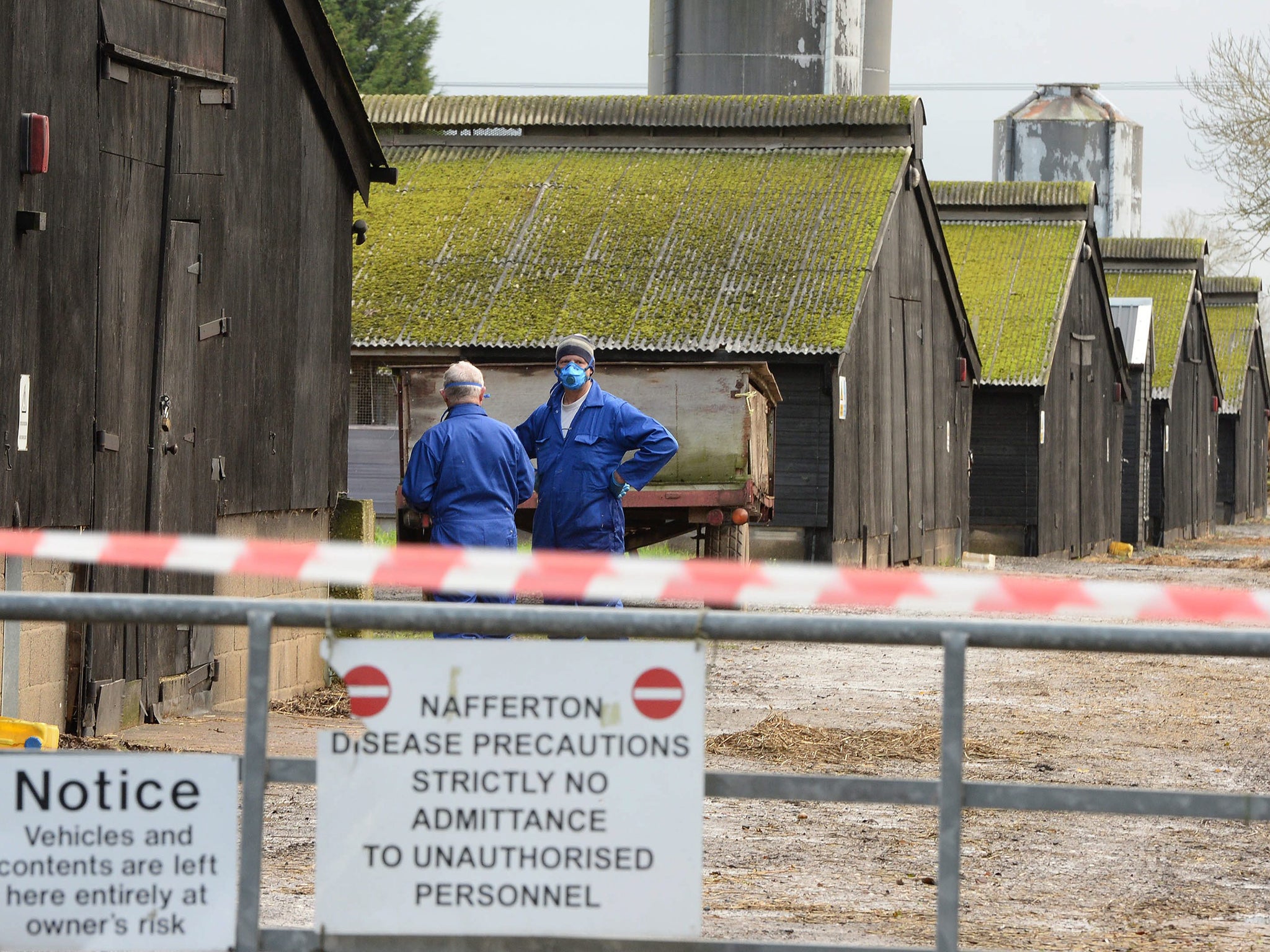 People in protective clothing are seen at a farm that has reported an outbreak of Bird Flu in Nafferton, East Yorkshire Britain
