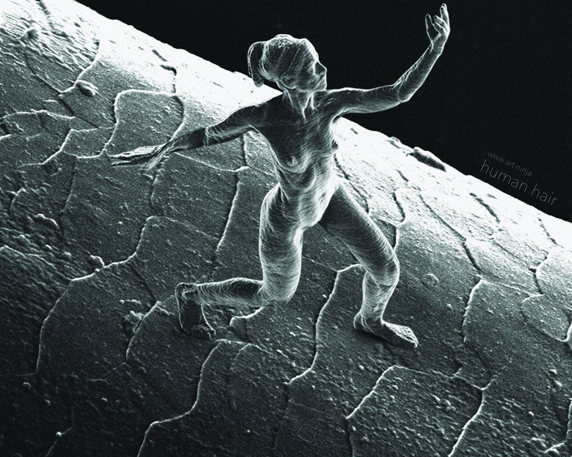 'Trust' by Jonty Hurwitz is the smallest sculpture ever made, approximately 80 by 100 by 20 microns