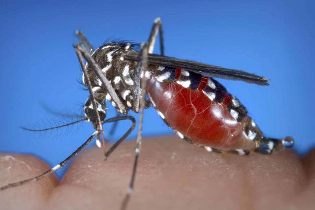 Malaria, spread by mosquitoes, kills more than a million people a year, according to Unicef