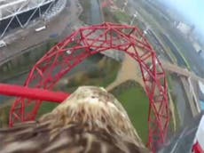 Watch amazing footage of London captured by an eagle with head-mounted