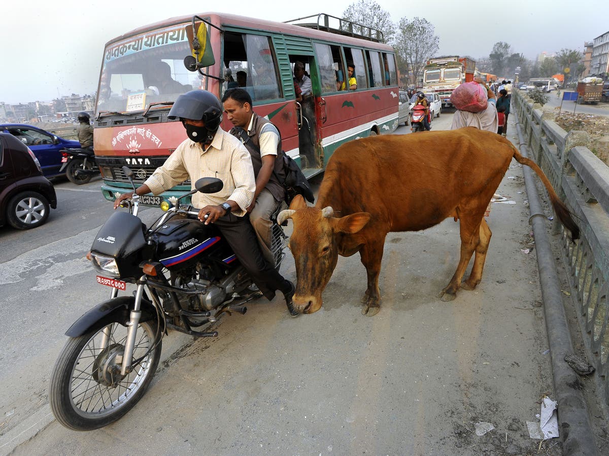 Postcard from... Kathmandu | The Independent | The Independent